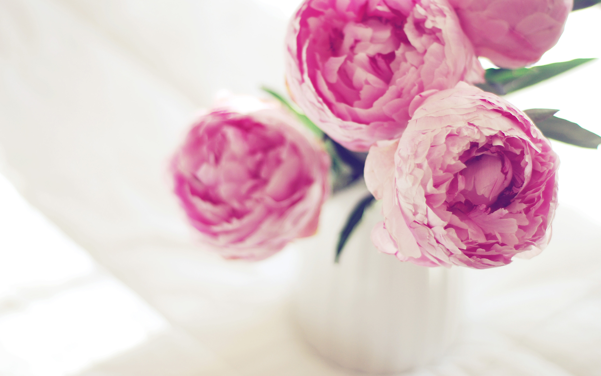 留一份淡然给自己壁纸