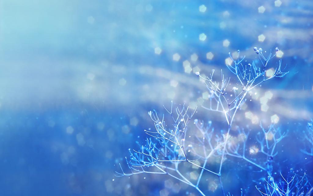 QQ风尚唯美背景