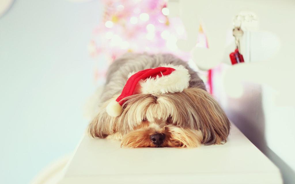 小清新唯美意境