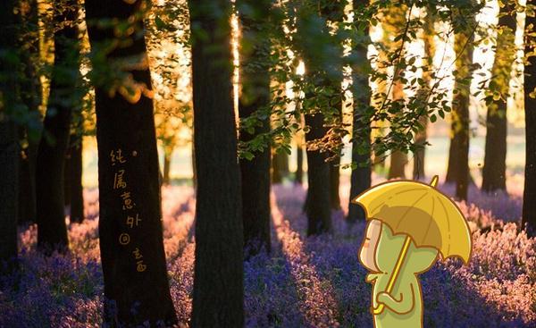 温暖治愈系创意插画