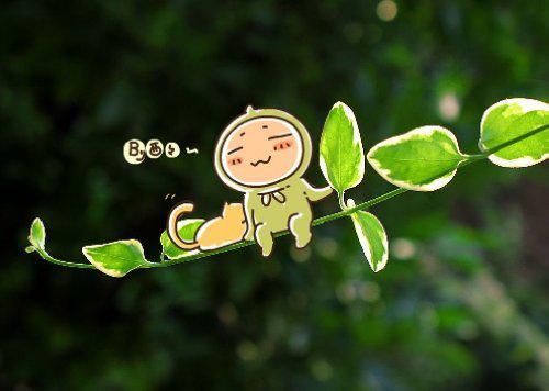 温暖治愈系插画