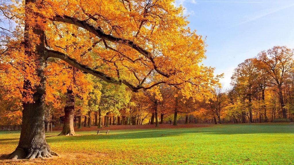 优美清新自然风景