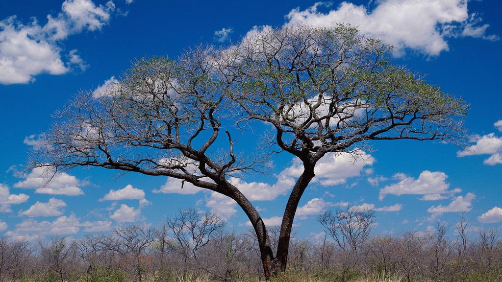 优美清新自然风景