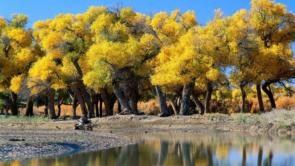优美清新自然风景