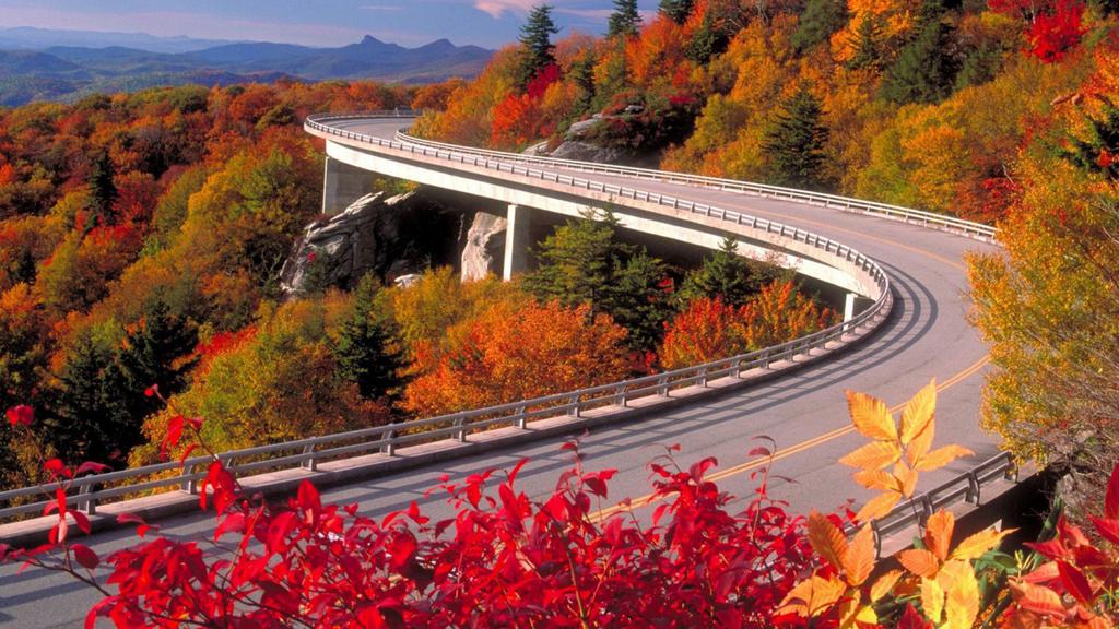 优美清新自然风景