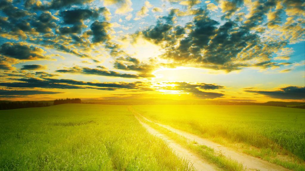 优美清新自然风景