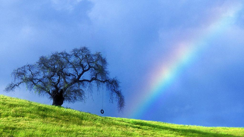 优美清新自然风景