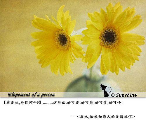 给未知恋人的爱情短信