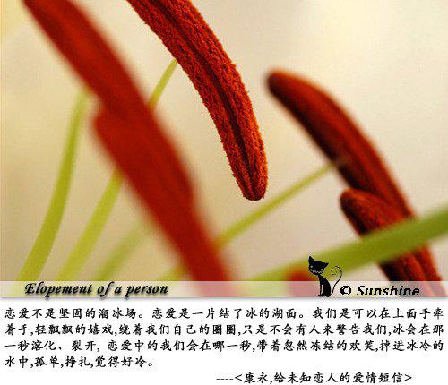 给未知恋人的爱情短信