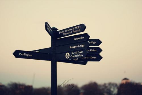 身边那温暖治愈系图片