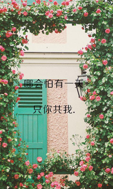 带字的伤感图片