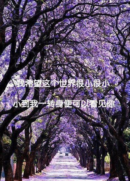 带字的伤感图片