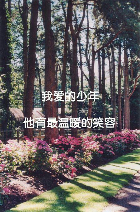 带字的伤感图片