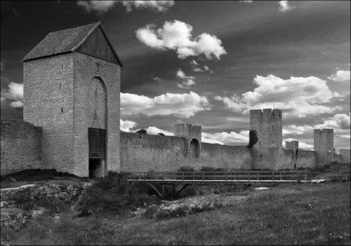 唯美的黑白摄影