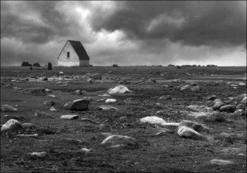 唯美的黑白摄影