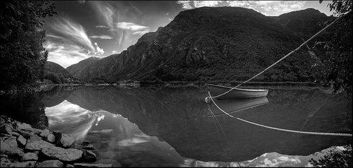 唯美的黑白摄影