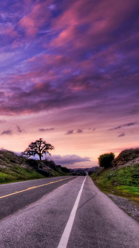 唯美紫色意境风景