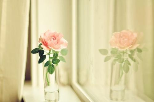 春暖花开的日子