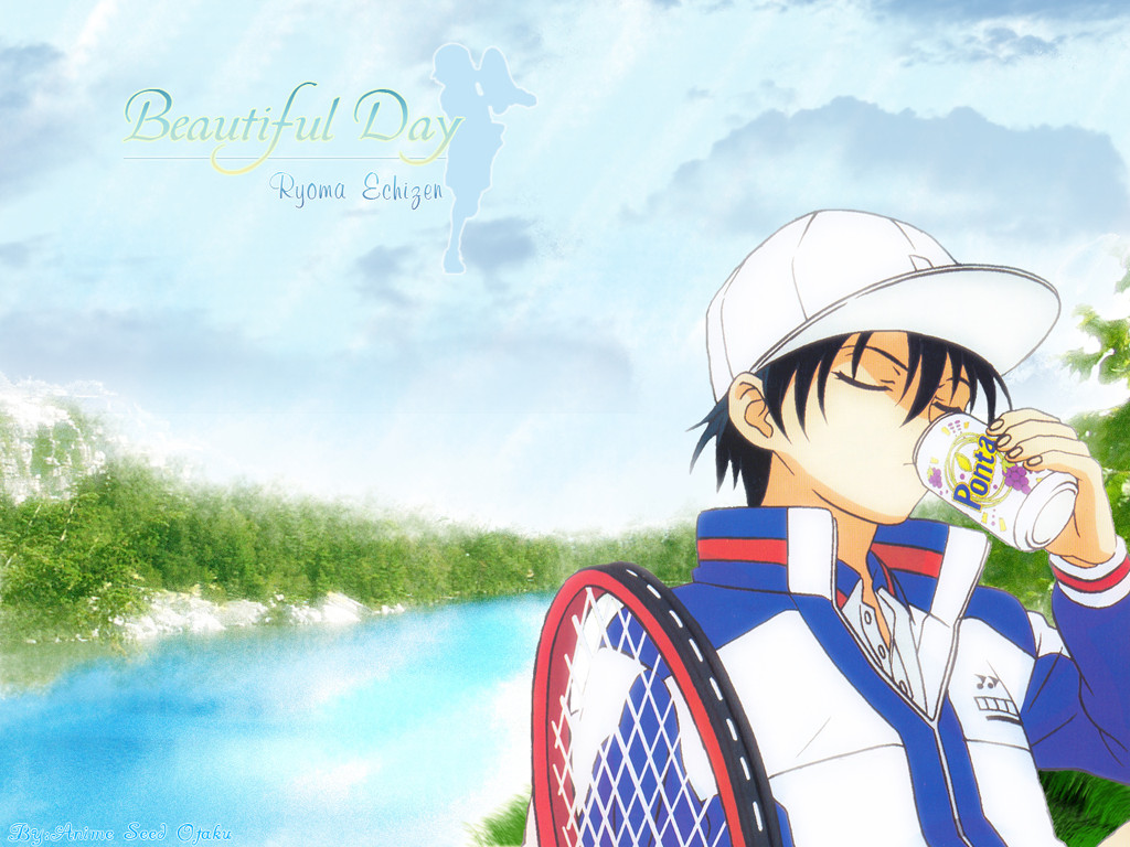 网球王子越前龙马