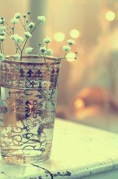 清新唯美花草-4