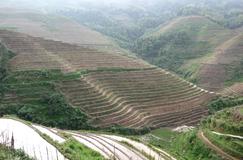 桂林龙胜龙脊梯田