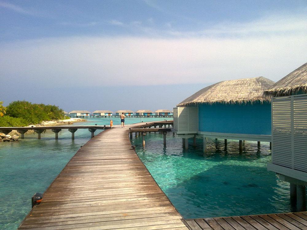 蜜月之岛梦幻岛