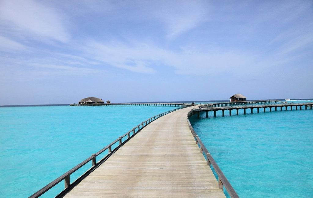 绿洲花园卡尼岛