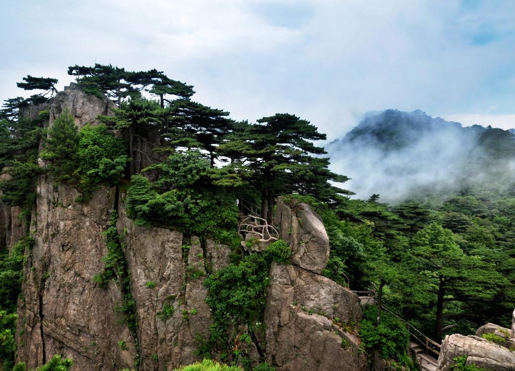 千姿百态黄山奇松