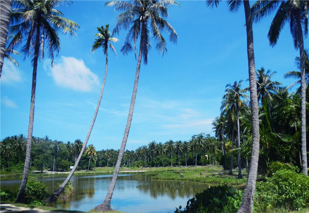 泰国皇帝岛风光