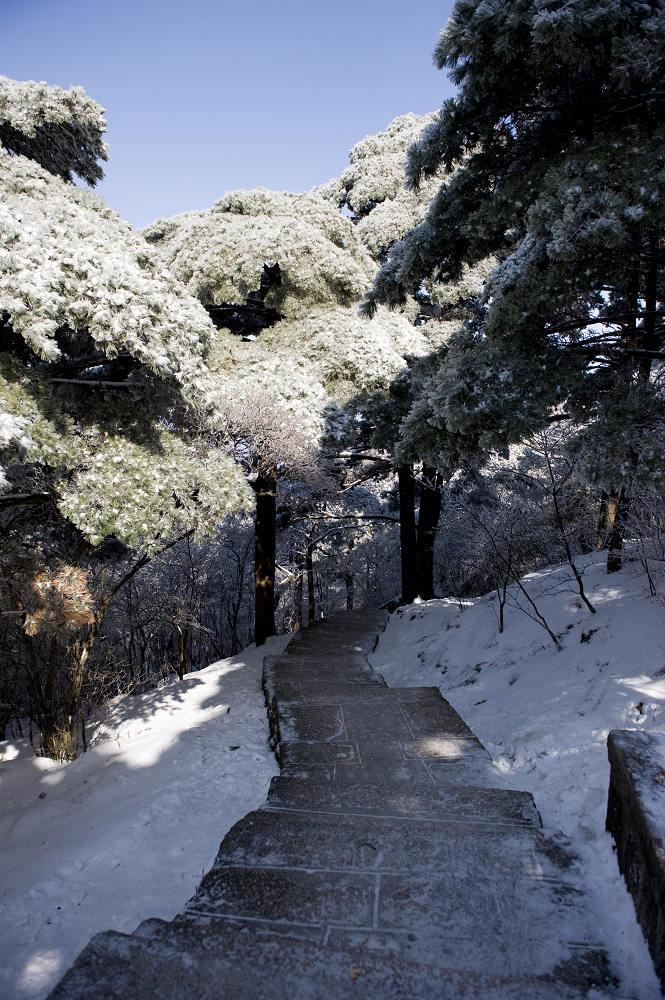 黄山五绝之冬雪