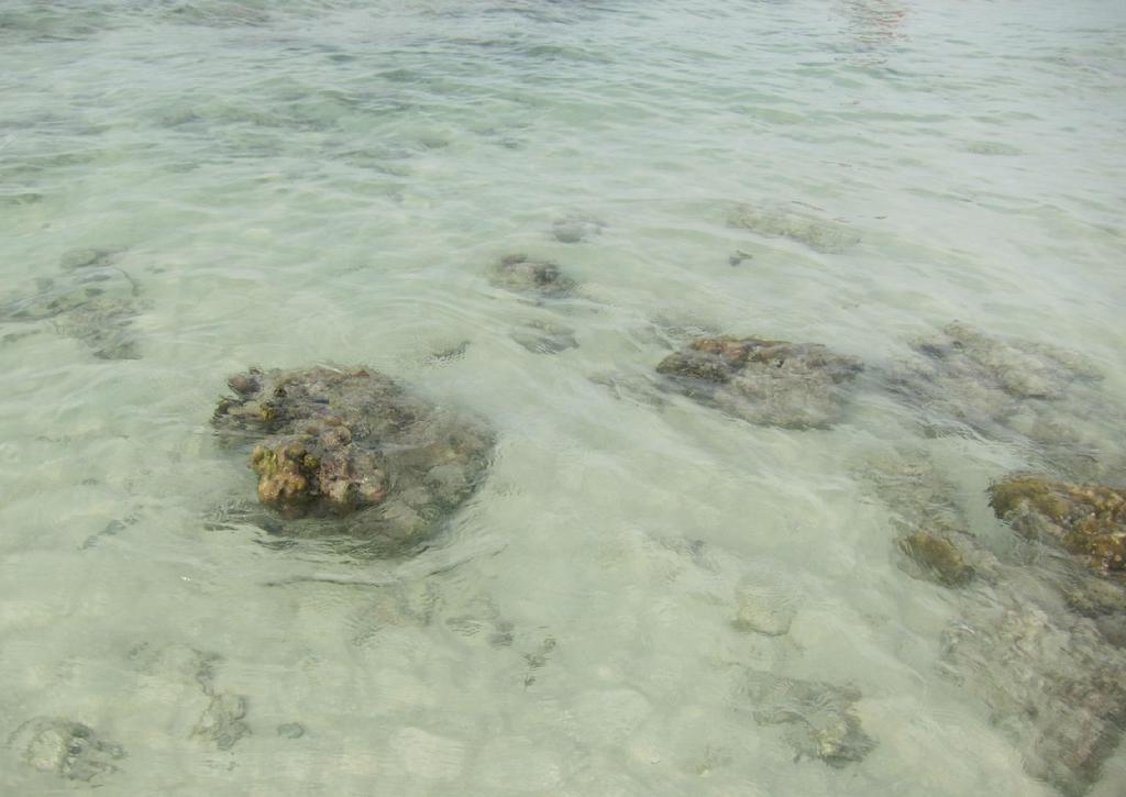 优美的泰国珊瑚岛