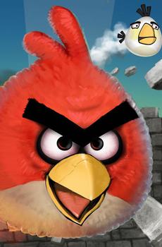 愤怒的小红鸟