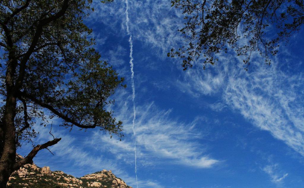 崂山太清宫风景