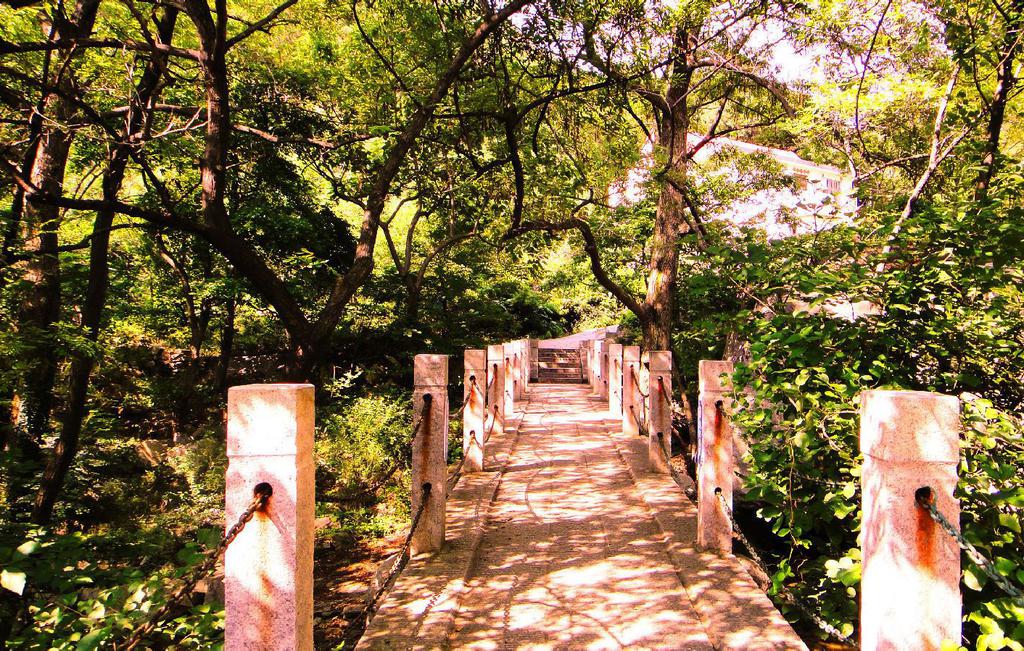 青岛崂山上清宫迷人景色