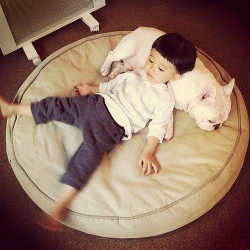 可爱小正太与斗牛犬