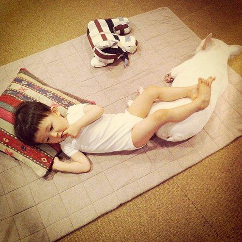 可爱小正太与斗牛犬