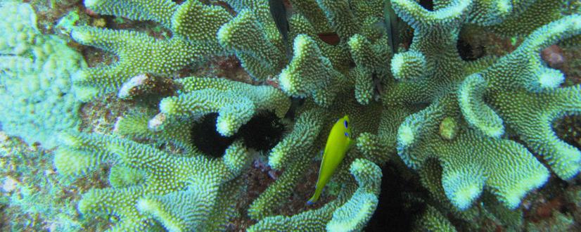 塞班岛蓝洞风光