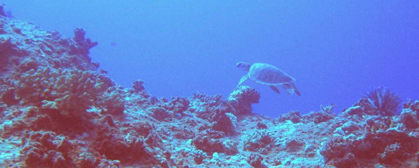 塞班岛蓝洞风光