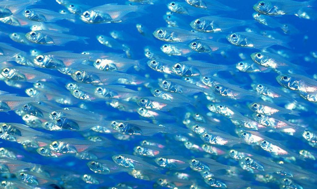 天然洞穴塞班岛蓝洞