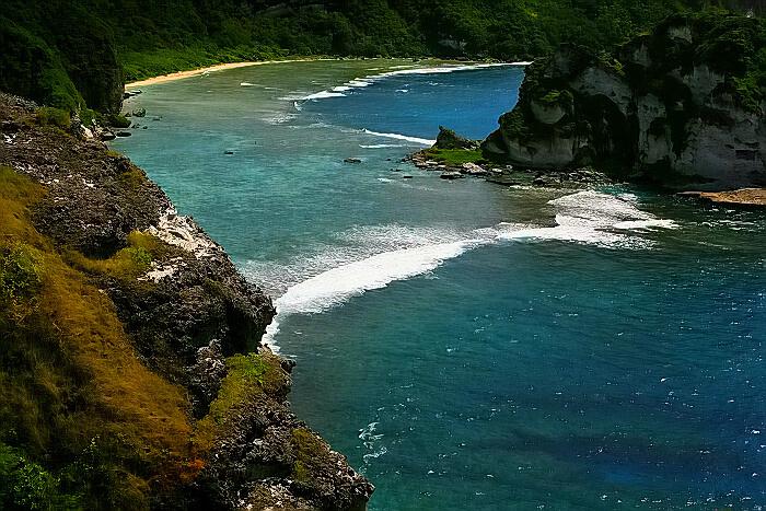 鸟岛的宜人风光