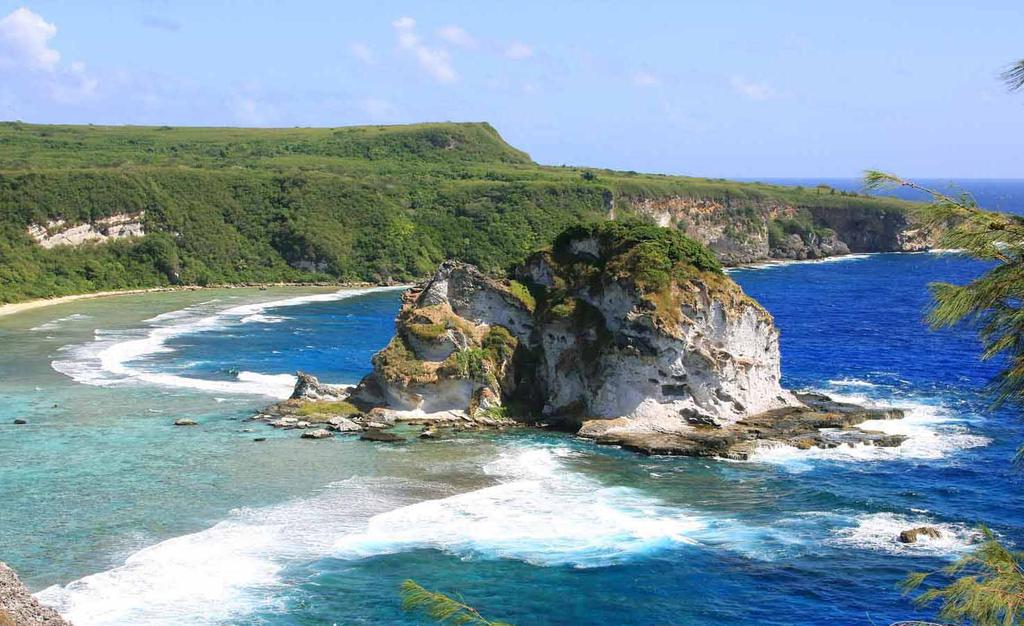 鸟岛的宜人风光