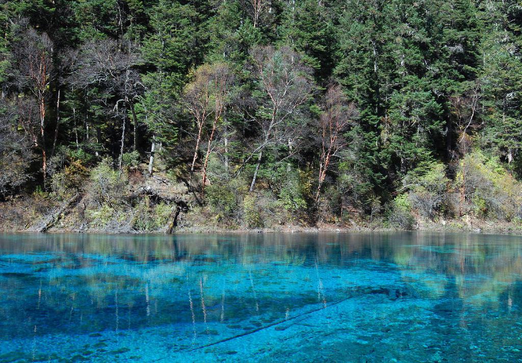 美丽的九寨沟五彩池