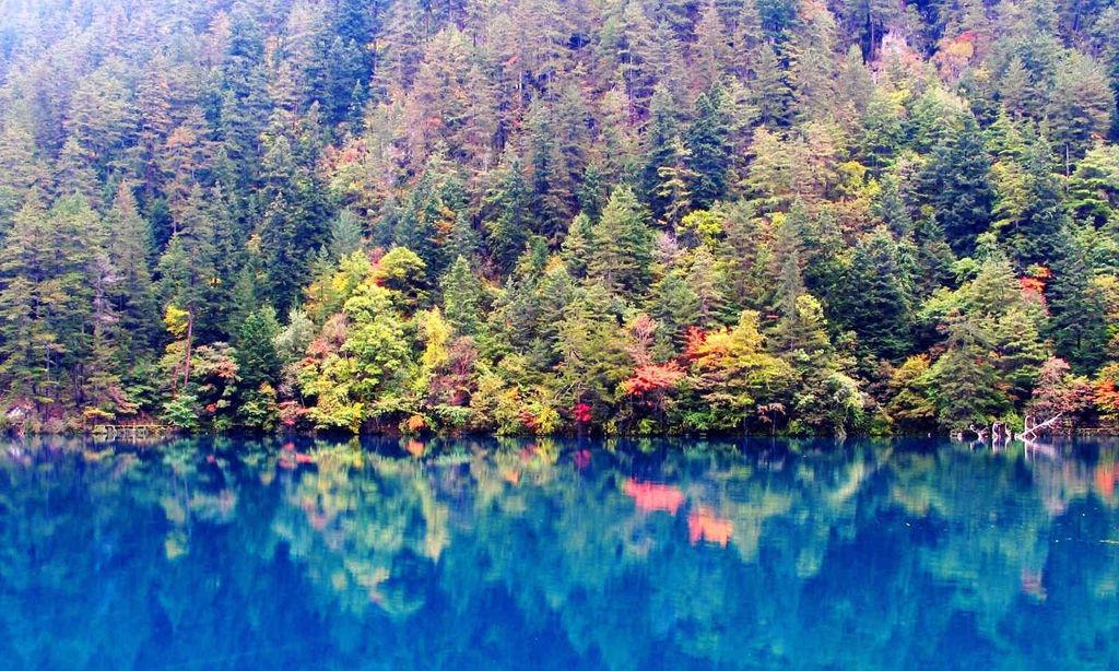 “九寨精华”之五花海