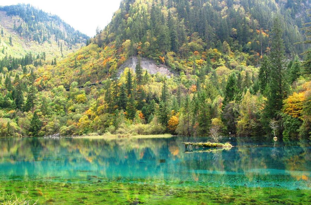 “九寨精华”之五花海