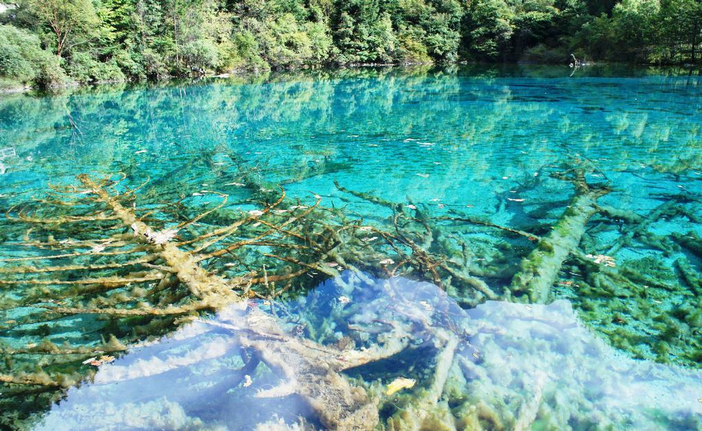 “九寨精华”之五花海