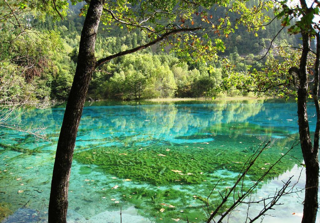 美丽迷人的五花海风光