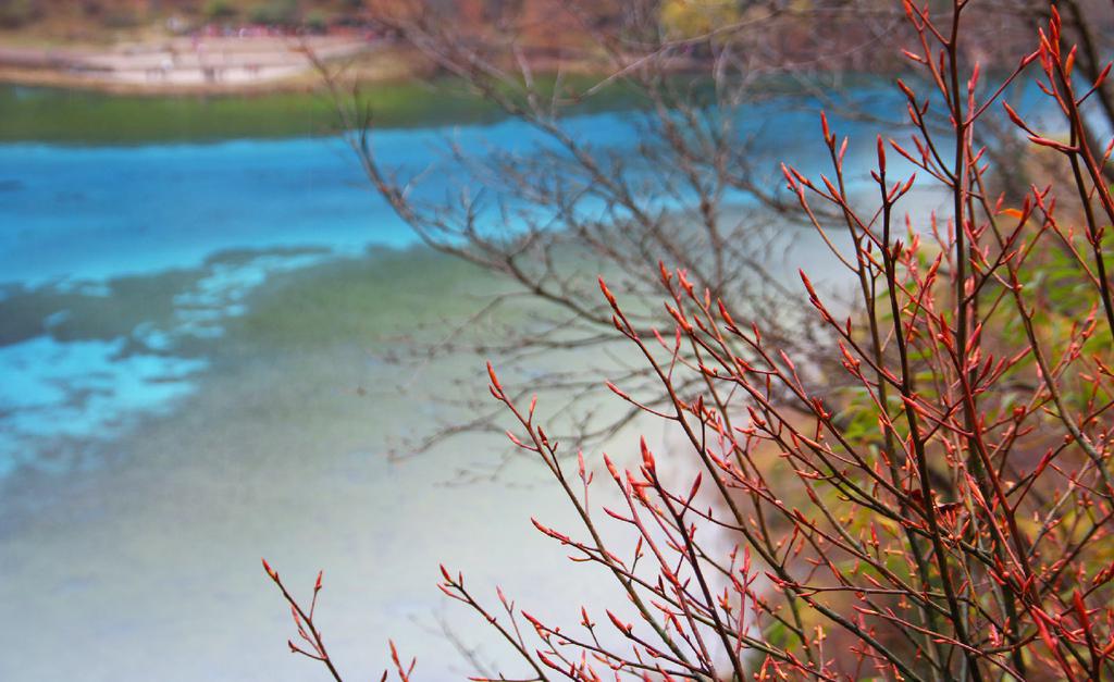 美丽迷人的五花海风光