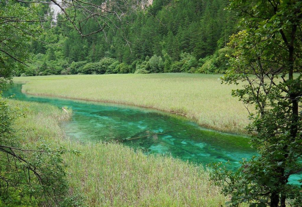 最美的九寨沟芦苇海