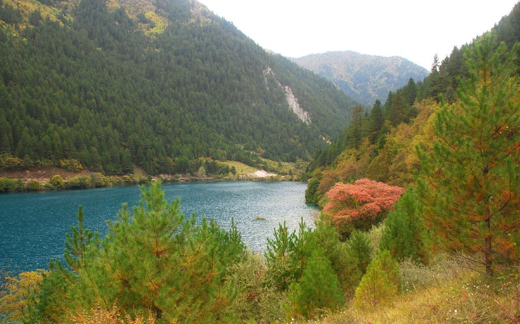 树正沟最大的海子犀牛海