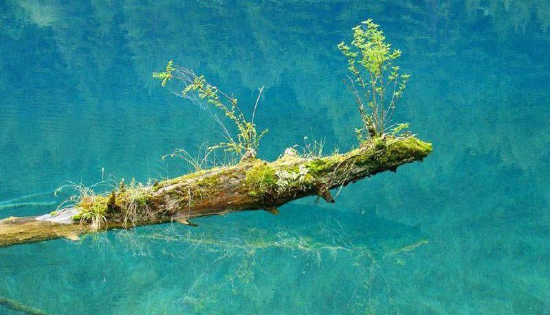 树正沟最大的海子犀牛海